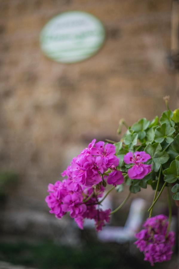 סוטרי B&B Etruscan Garden מראה חיצוני תמונה