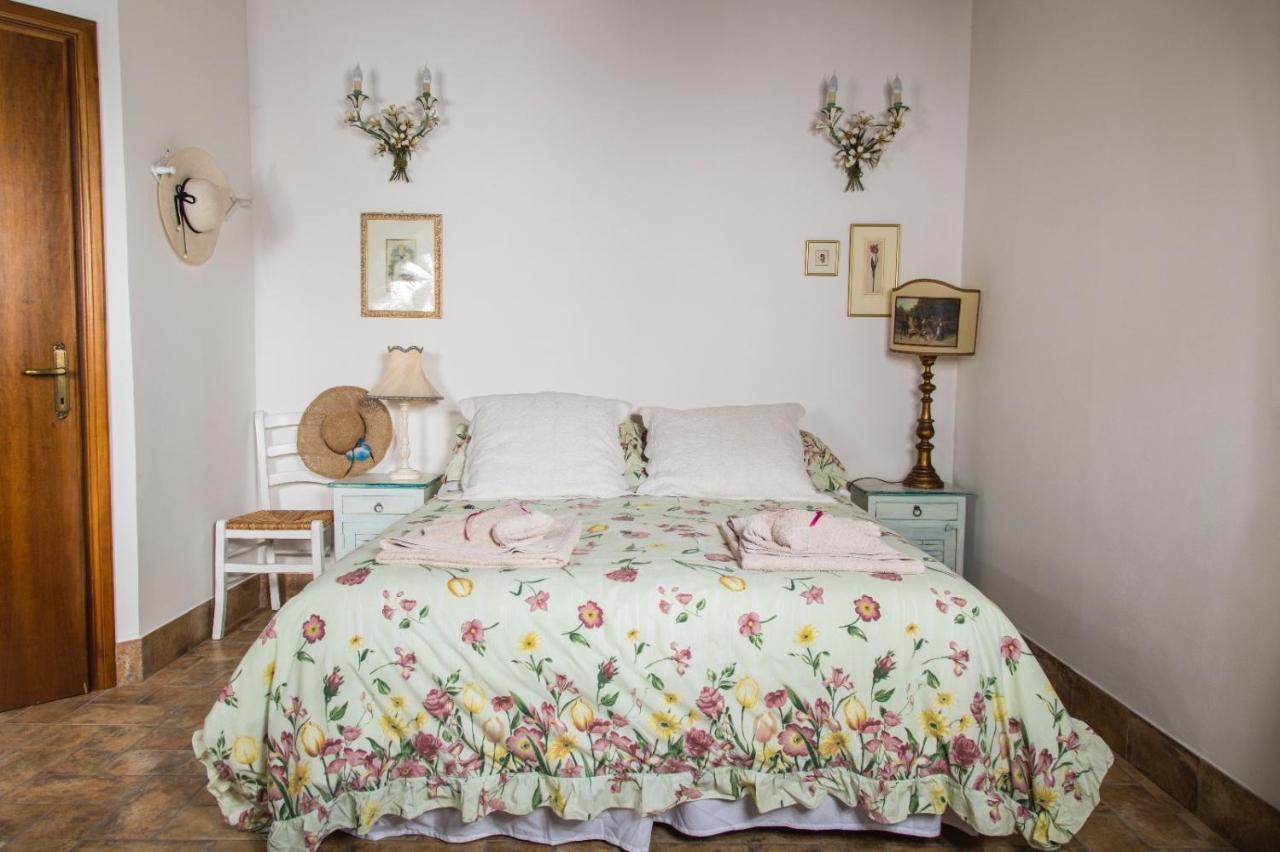 סוטרי B&B Etruscan Garden מראה חיצוני תמונה
