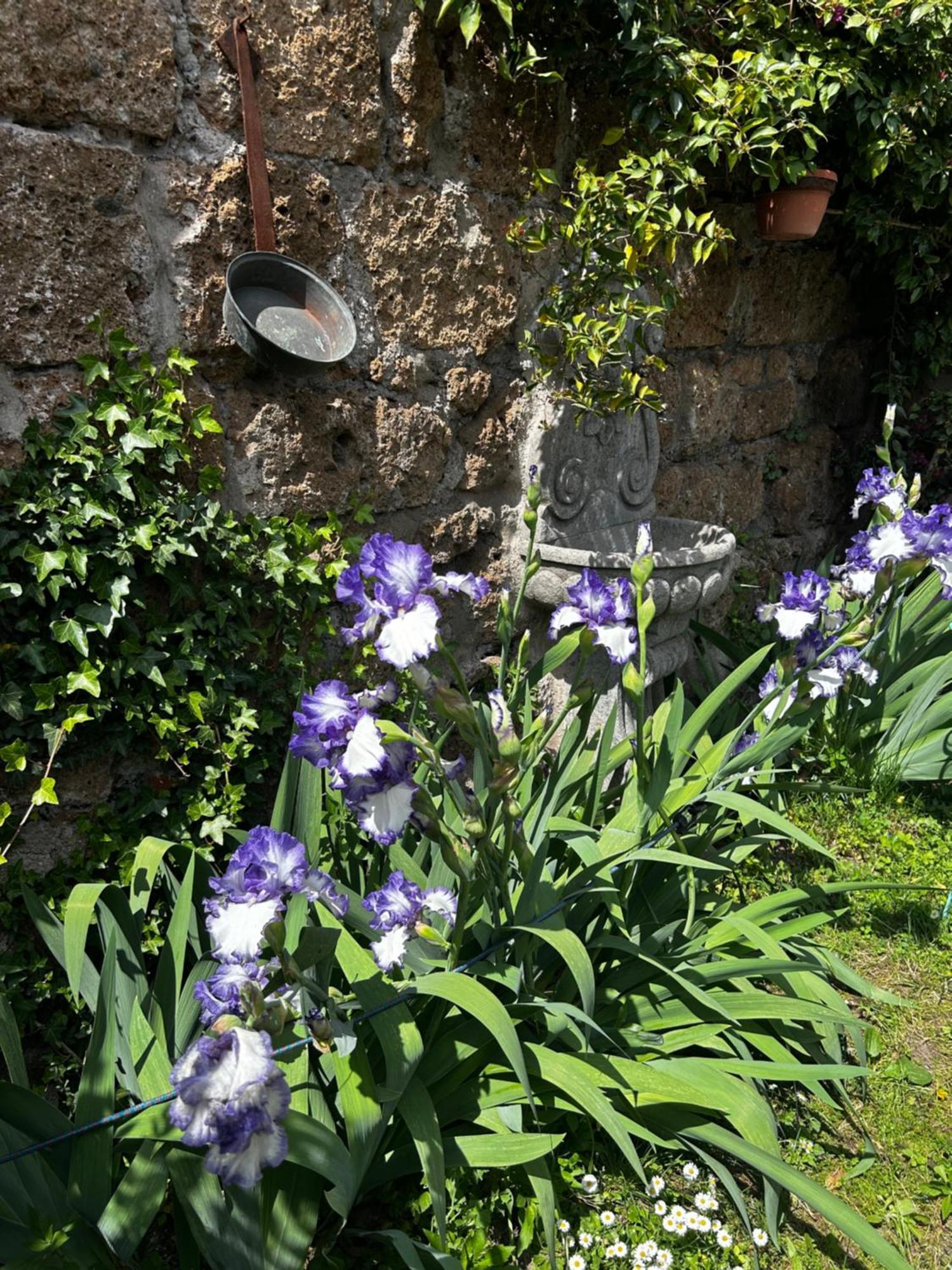 סוטרי B&B Etruscan Garden מראה חיצוני תמונה